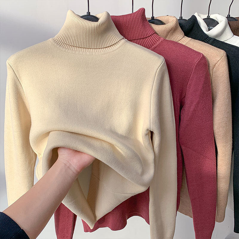 Turtleneck Thick & Warm Winter Sweater