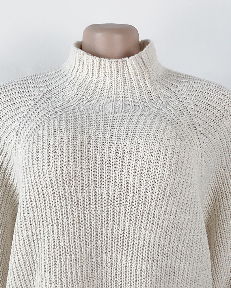 Turtleneck Solid Color Long Sweater