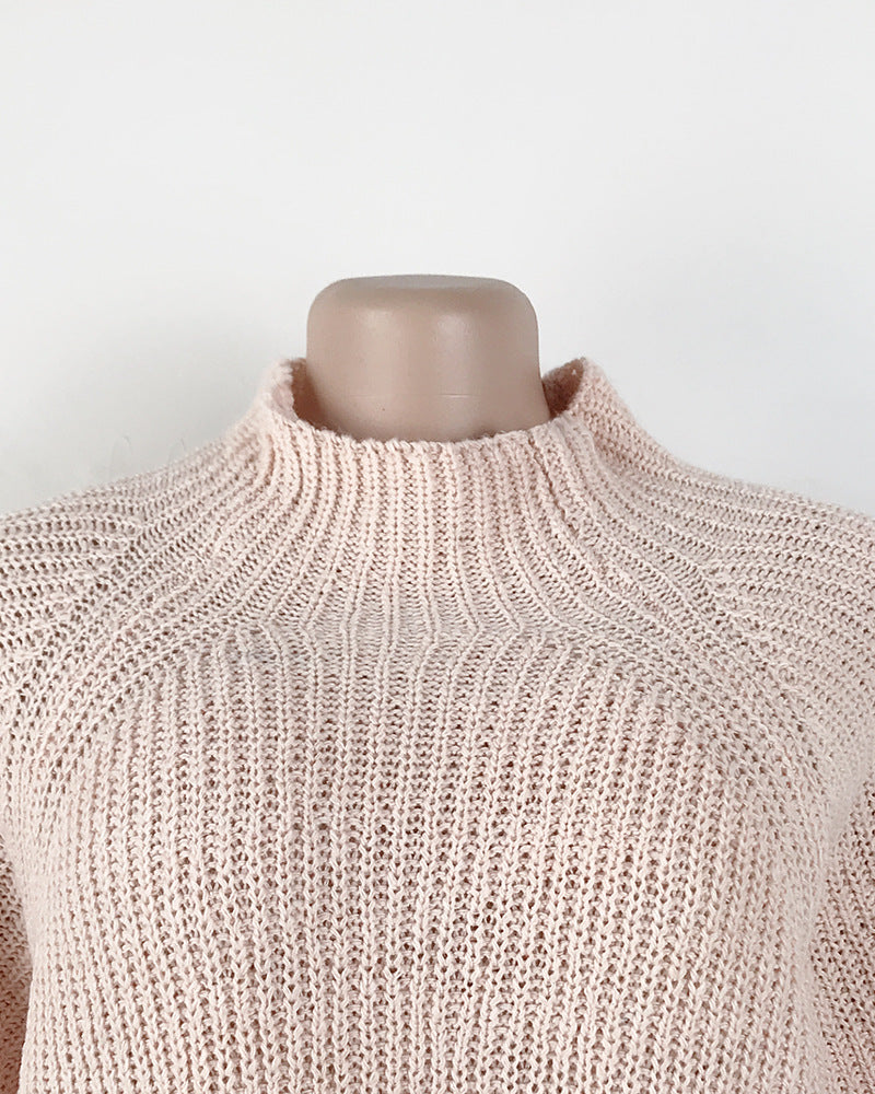 Turtleneck Solid Color Long Sweater