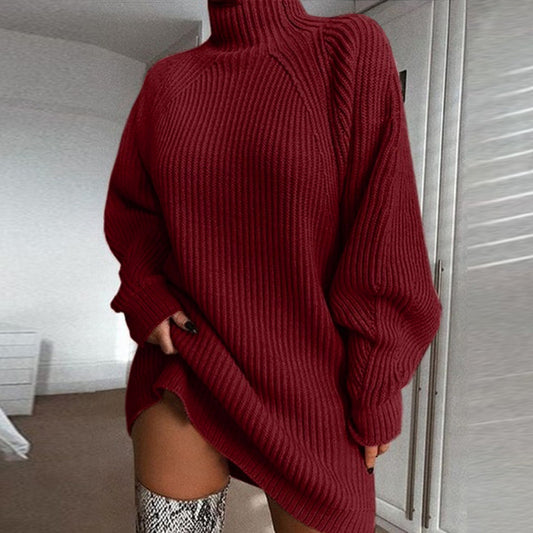 Turtleneck Solid Color Long Sweater