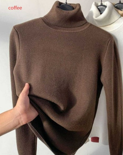 Turtleneck Thick & Warm Winter Sweater